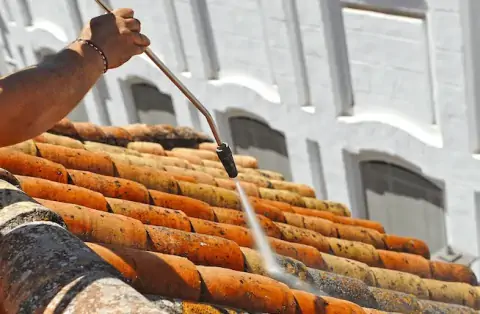 Nettoyage de toitures - Dammarie-les-Lys